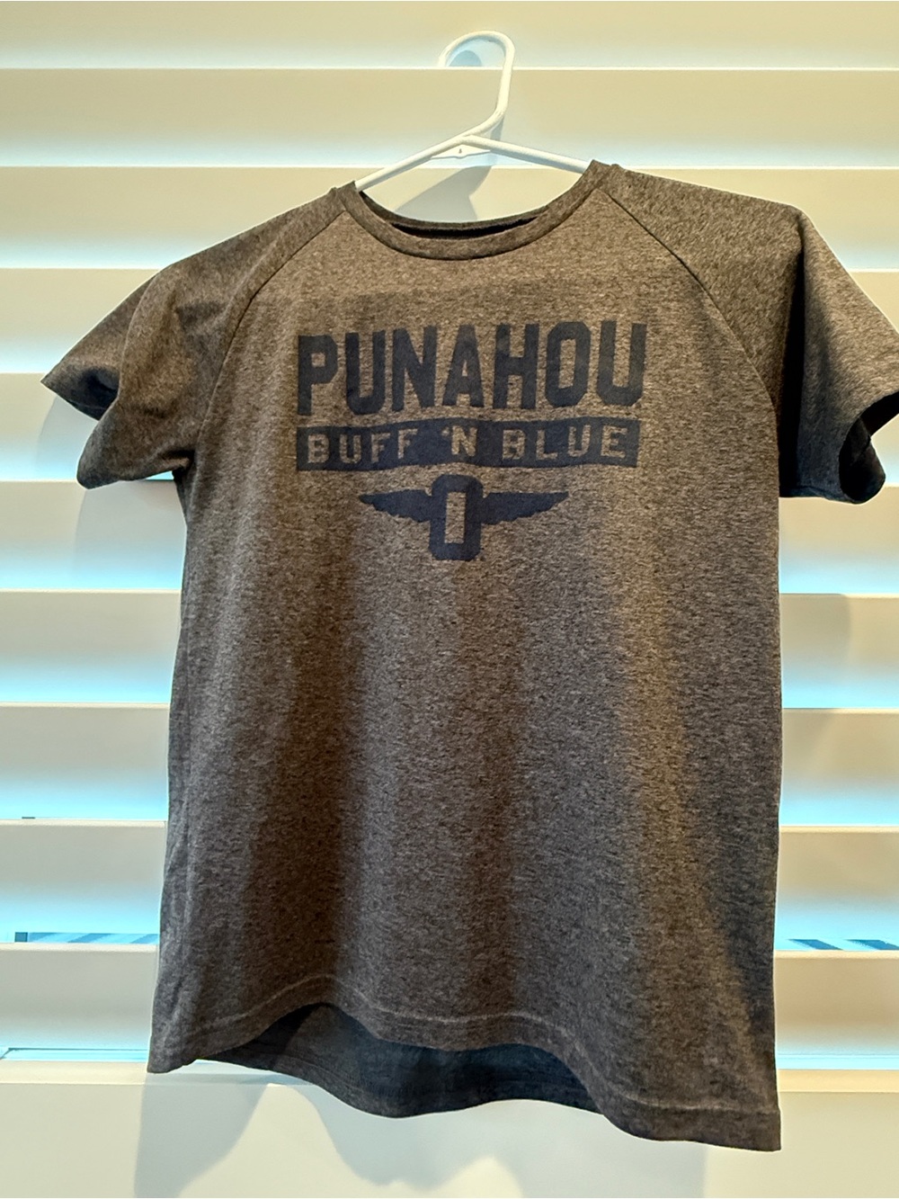 UA Tech Tee, YM Punahou Buff 'N Blue Men's Gray Crew Neck T-Shirt